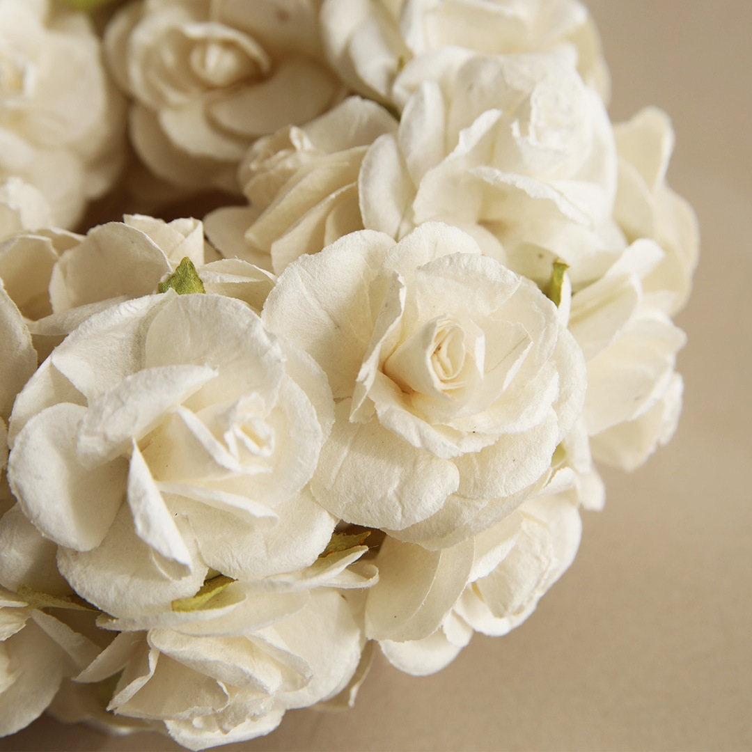 ����ե����쥬��ȥ꡼�� ������