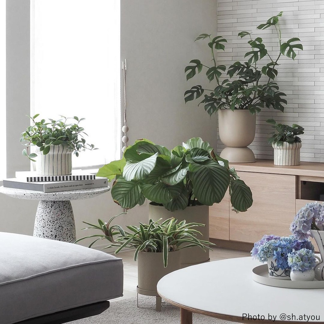 �ڤ����󤻡�Ferm Living (�ե������ӥ�) Hourglass Pot (������饹 �ݥå�) XS �֥�å�/�����ߥ� �̲�/ȭ���С�/����ȭ/����ƥꥢ/������������Ź��