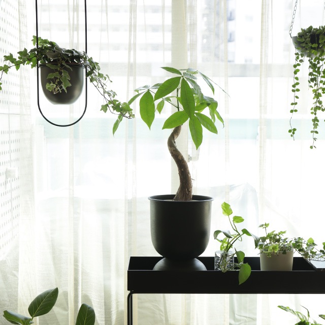 �ڤ����󤻡�Ferm Living (�ե������ӥ�) Hourglass Pot (������饹 �ݥå�) XS �֥�å�/�����ߥ� �̲�/ȭ���С�/����ȭ/����ƥꥢ/������������Ź��