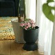 �ڤ����󤻡�Ferm Living (�ե������ӥ�) Hourglass Pot (������饹 �ݥå�) XS �֥�å�/�����ߥ� �̲�/ȭ���С�/����ȭ/����ƥꥢ/������������Ź��