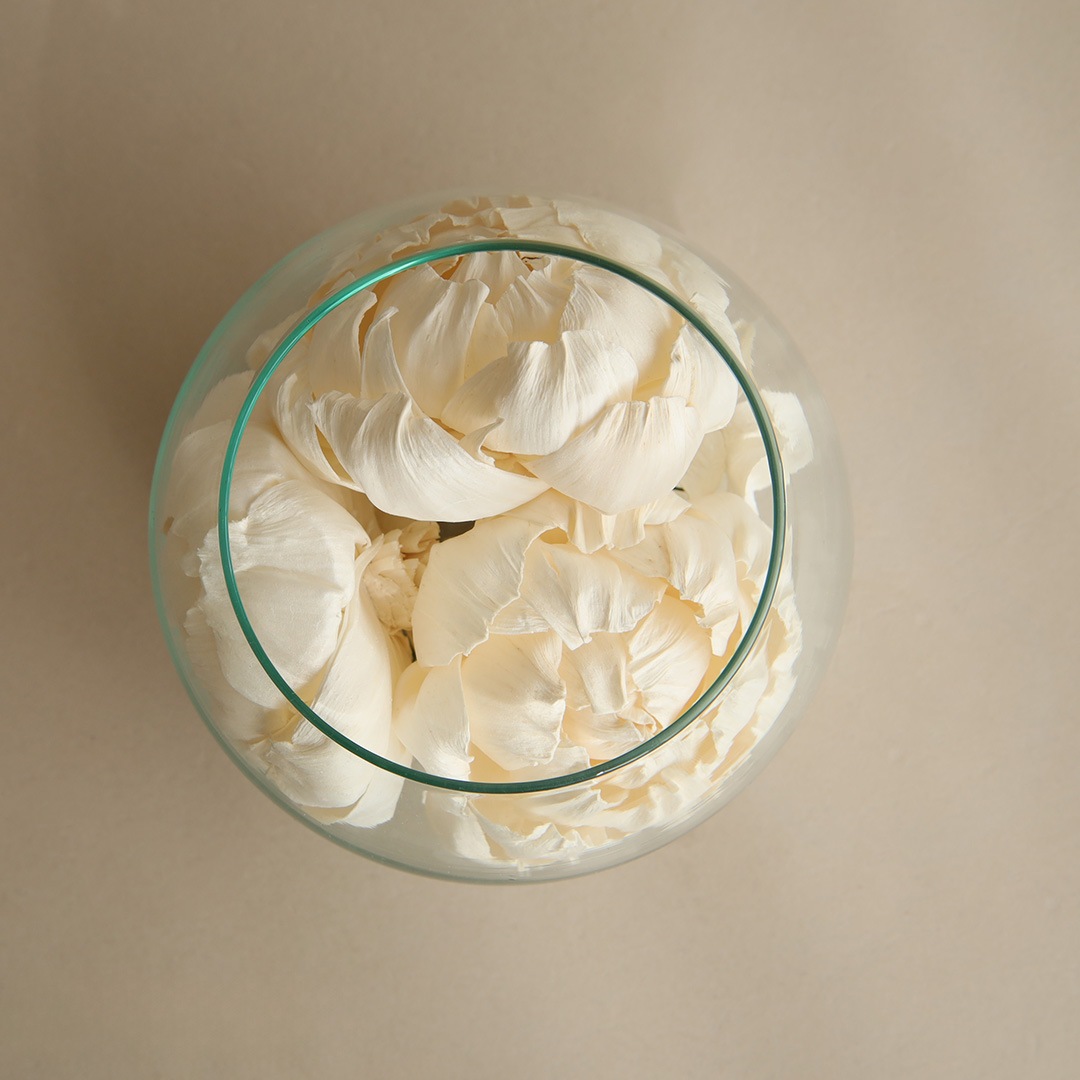 ����ե�����ꥦ�� �ԥ��ˡ�