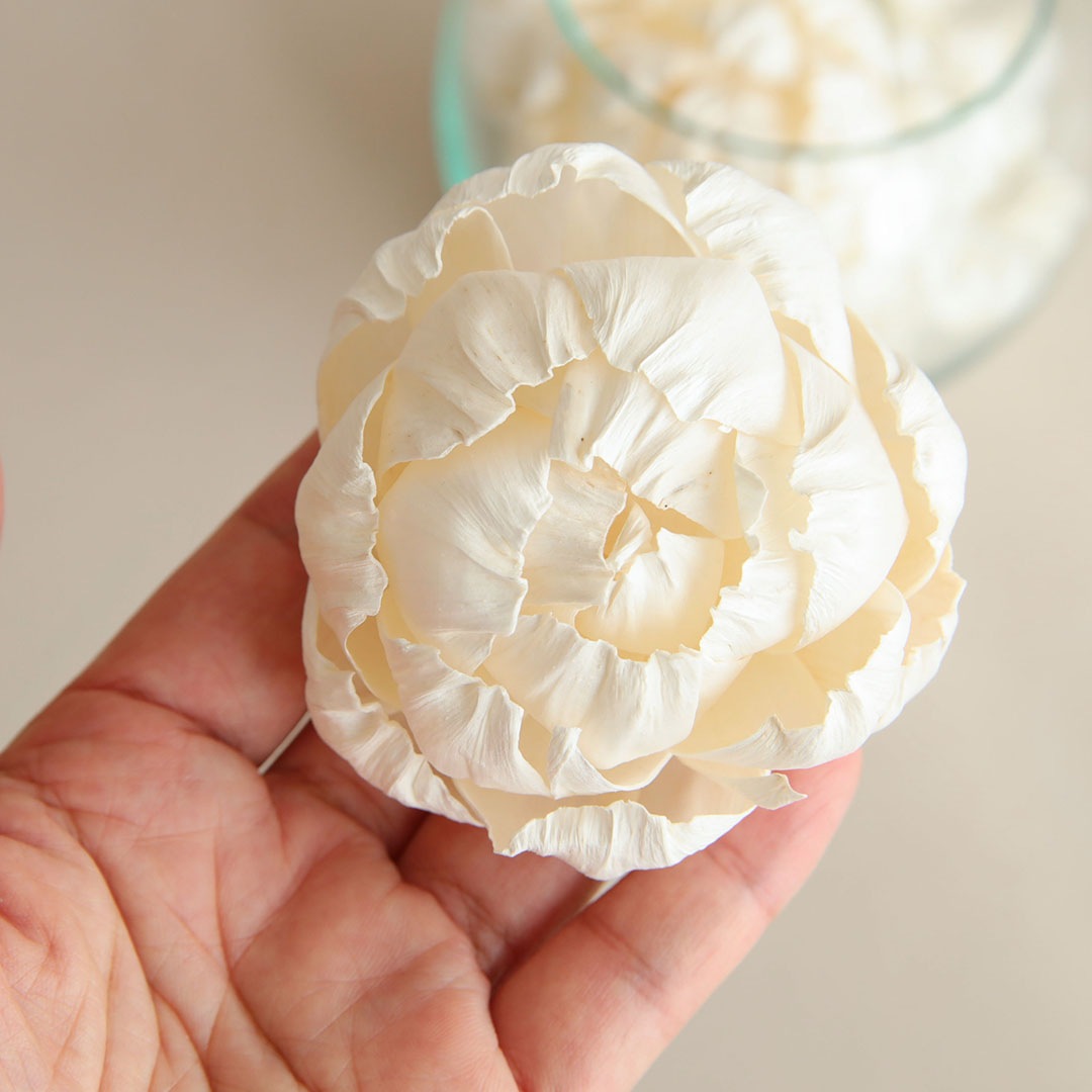 ����ե�����ꥦ�� �ԥ��ˡ�