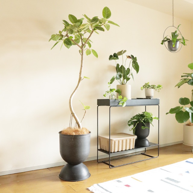 �ڤ����󤻡�Ferm Living (�ե������ӥ�) Hourglass Pot (������饹 �ݥå�) S �֥�å�/�����ߥ� �̲�/ȭ���С�/����ȭ/����ƥꥢ/������������Ź��