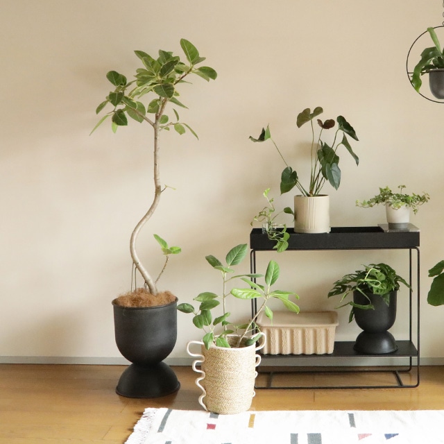 �ڤ����󤻡�Ferm Living (�ե������ӥ�) Hourglass Pot (������饹 �ݥå�) S �֥�å�/�����ߥ� �̲�/ȭ���С�/����ȭ/����ƥꥢ/������������Ź��