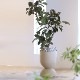Ferm Living Hourglass Pot ������饹 �ݥå� M �֥�å� �����ߥ� �̲� ȭ���С� ����ȭ ����ƥꥢ �ե������ӥ� ������������Ź�ʡڤ����󤻡�
