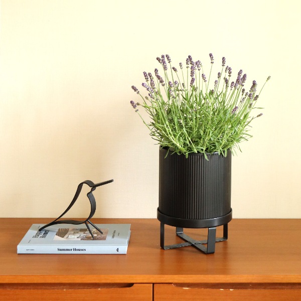 ��30��OFF��Ferm Living (�ե������ӥ�) Bau Pot (�Х� �ݥå�) S �֥�å�/�����ߥ� �̲�/ȭ���С�/����ȭ/����ƥꥢ/������������Ź�ʡڹ���߸ˤ����