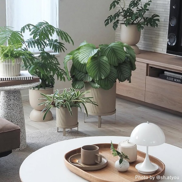 ��30��OFF��Ferm Living (�ե������ӥ�) Bau Pot (�Х� �ݥå�) S �֥�å�/�����ߥ� �̲�/ȭ���С�/����ȭ/����ƥꥢ/������������Ź�ʡڹ���߸ˤ����