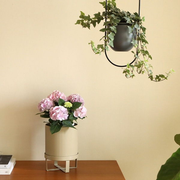 ��30��OFF��Ferm Living (�ե������ӥ�) Bau Pot (�Х� �ݥå�) S �֥�å�/�����ߥ� �̲�/ȭ���С�/����ȭ/����ƥꥢ/������������Ź�ʡڹ���߸ˤ����