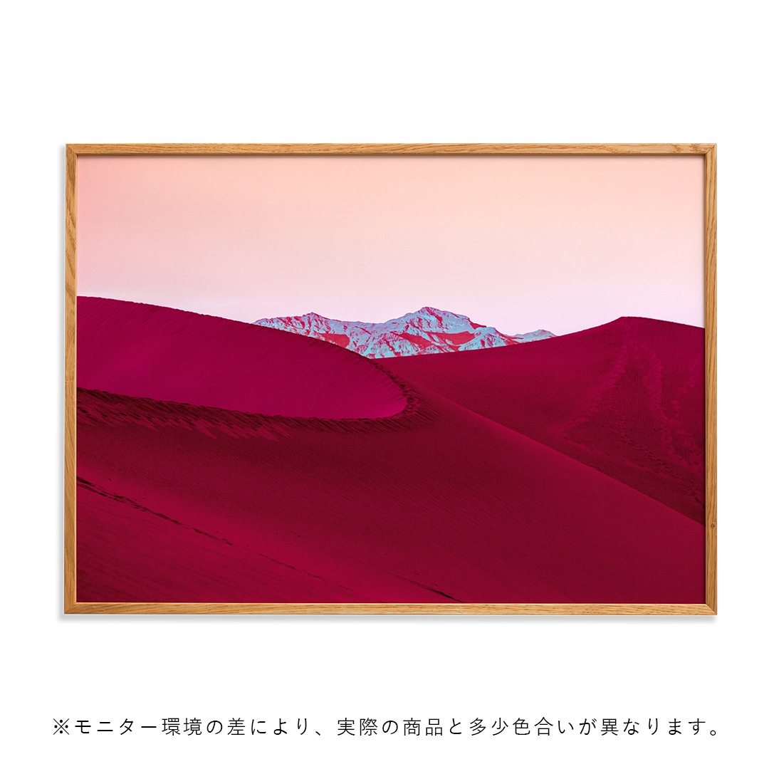 ڥڡоݡۡڤ󤻡Paper Collective (ڡѡ쥯ƥ) ݥ 7050 Dunes III ̲/ƥꥢ//Źʡڿǥ