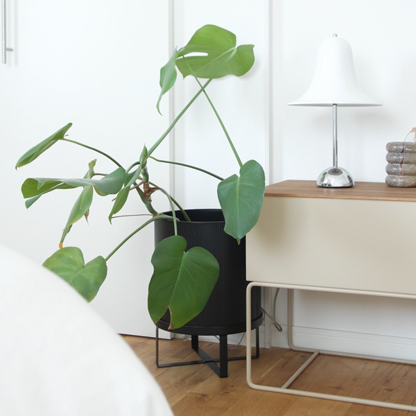 �ڤ����󤻡�Ferm Living (�ե������ӥ�) Bau Pot (�Х� �ݥå�) L �֥�å�/�����ߥ� �̲�/ȭ���С�/����ȭ/����ƥꥢ/������������Ź��