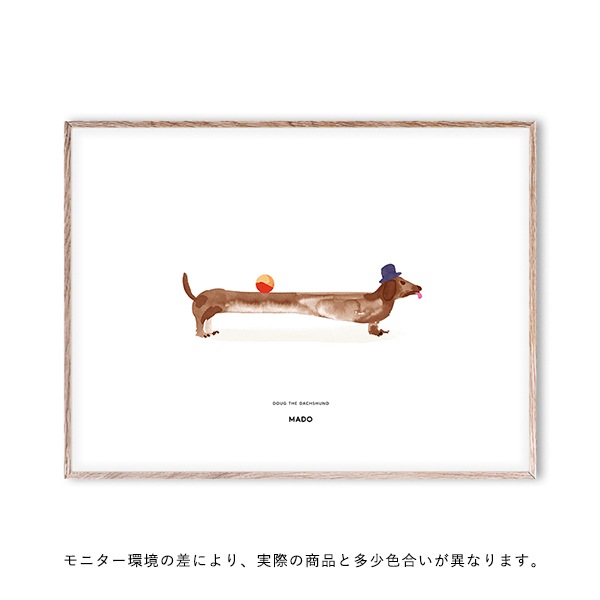 ڥڡоݡۡڤ󤻡Paper CollectiveMADO (ޥ) ݥ 4030cm Friends Doug The Dachshund