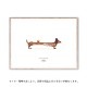 ڥڡоݡۡڤ󤻡Paper CollectiveMADO (ޥ) ݥ 4030cm Friends Doug The Dachshund