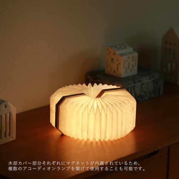 GINGKO (󥳡) ǥ ̲/ƥꥢ//ܾ