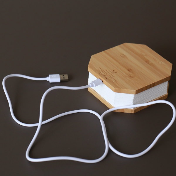 GINGKO (󥳡) ǥ ̲/ƥꥢ//ܾ