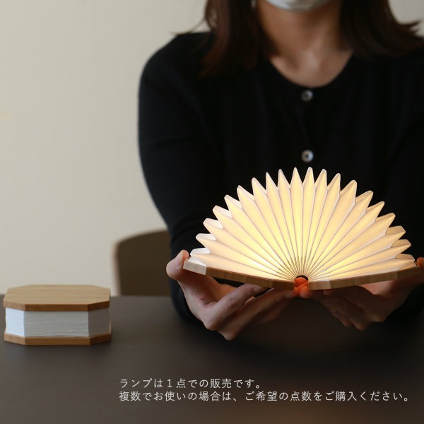 GINGKO (󥳡) ǥ ̲/ƥꥢ//ܾ