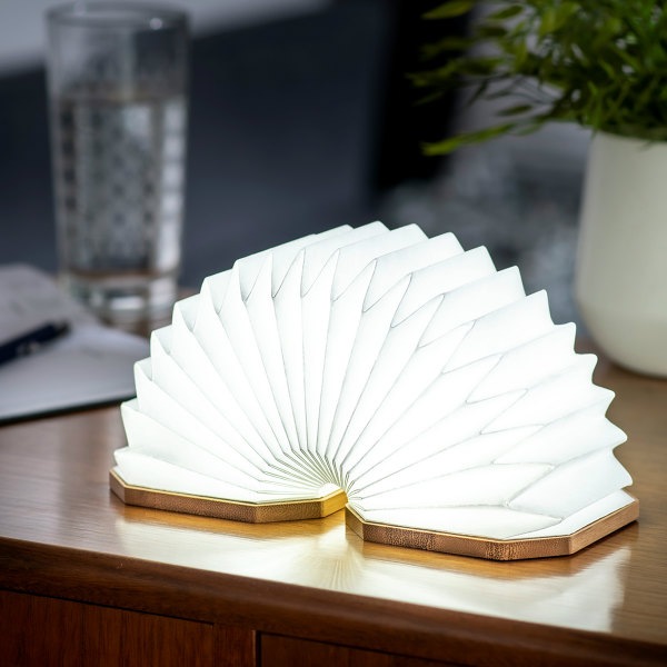 GINGKO (󥳡) ǥ ̲/ƥꥢ//ܾ