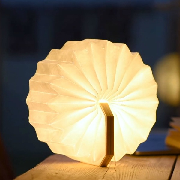 GINGKO (󥳡) ǥ ̲/ƥꥢ//ܾ