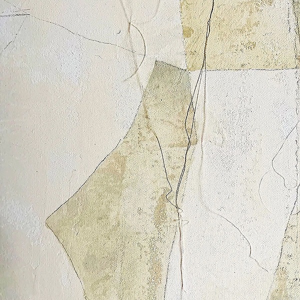 Paper Collective �ݥ�������30��40��Azahares �̲� ����ƥꥢ������ �ڡ��ѡ����쥯�ƥ��� Berenice Hernandez ������������Ź�� �ڤ����󤻡ۡڥ����ڡ����оݡۡ�NEW�ǥ������