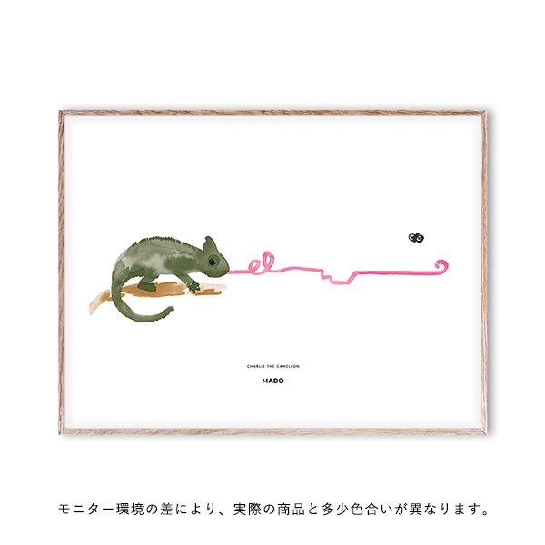 ڥڡоݡۡڤ󤻡Paper CollectiveMADO (ޥ) ݥ 4030cm Friends Charlie The Chameleon