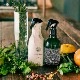 Komons (�����) �ե��֥�å��ߥ���/Free as a Bird 300ml ����/�ʥ�����/��