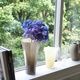 Cooee Design Liliane Vase ��ꥢ�ͥ١��� 28cm ���ꥢ �ܥȥ륰�꡼�� �Х����������� ����� �̲� ����ƥꥢ ���� ���������ǥ����� ������������Ź�� ���������ǥ�����
