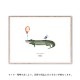 ڼȯ MADO (ޥ) ݥ 4030cm Friends Coco The Crocodile