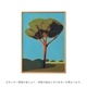 ڥڡоݡۡڤ󤻡Paper Collective (ڡѡ쥯ƥ) ݥ 3040 Pinetree in Toscana ̲/ƥꥢ//Źʡڿǥ