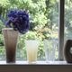 Cooee Design Liliane Vase ��ꥢ�ͥ١��� 18cm ���ꥢ �ܥȥ륰�꡼�� �Х����������� ����� �̲� ����ƥꥢ ���� ���������ǥ����� ������������Ź�� ���������ǥ�����