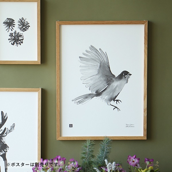 ڥڡоݡPaper Collective (ڡѡ쥯ƥ) ե졼/ 3040cm̲/ƥꥢ/Ź ̵