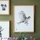 ڥڡоݡPaper Collective (ڡѡ쥯ƥ) ե졼/ 3040cm̲/ƥꥢ/Ź ̵