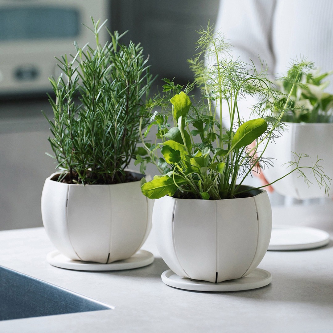 Sen Roly pots �����꡼�ݥå� �� S �ۥ磻�� ���졼 �֥�å� ����