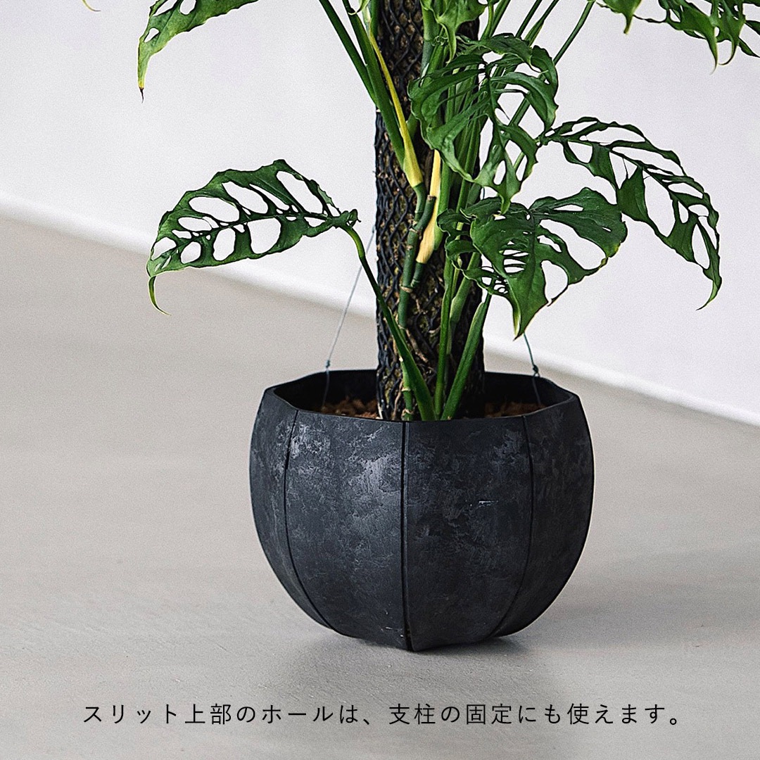 Sen Roly pots �����꡼�ݥå� �� S �ۥ磻�� ���졼 �֥�å� ����