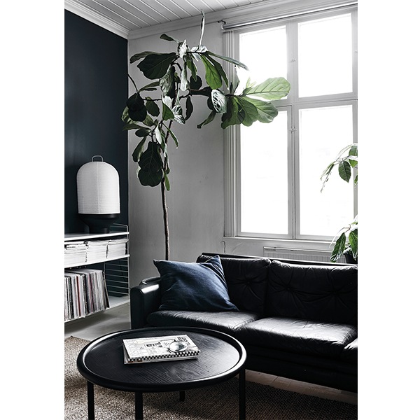 COZY PUBLISHING (���������ѥ֥�å���) Green Home Book �̲�/�ե������/��/���꡼�����������եȡ�