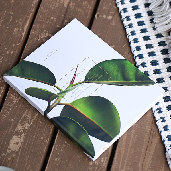 COZY PUBLISHING (���������ѥ֥�å���) Green Home Book �̲�/�ե������/��/���꡼�����������եȡ�