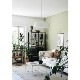 COZY PUBLISHING (���������ѥ֥�å���) Green Home Book �̲�/�ե������/��/���꡼�����������եȡ�