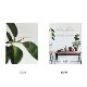 COZY PUBLISHING (���������ѥ֥�å���) Green Home Book �̲�/�ե������/��/���꡼�����������եȡ�