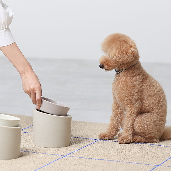 ideaco (���ǥ���) Pet Feeder �ա��� Low/High ���졼���� ��������դ��ա��ɥܥ���