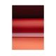 Paper Collective �ݥ�������A4��Paper Curves Warm 01 �̲� ����ƥꥢ ������ �ڡ��ѡ����쥯�ƥ��� Raw Color ������������Ź�� �ڤ����󤻡ۡڥ����ڡ����оݡ�