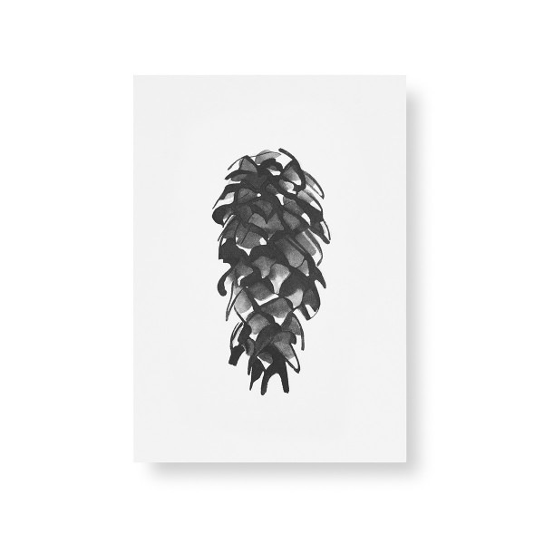 Teemu Jarvi (�ơ��ࡦ������) �ݥ����� A5 SPRUCE CONE (���ץ롼��������) �̲�/����ƥꥢ/������������Ź�ʡڥ᡼���ء�
