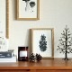 Teemu Jarvi (�ơ��ࡦ������) �ݥ����� A5 SPRUCE CONE (���ץ롼��������) �̲�/����ƥꥢ/������������Ź�ʡڥ᡼���ء�