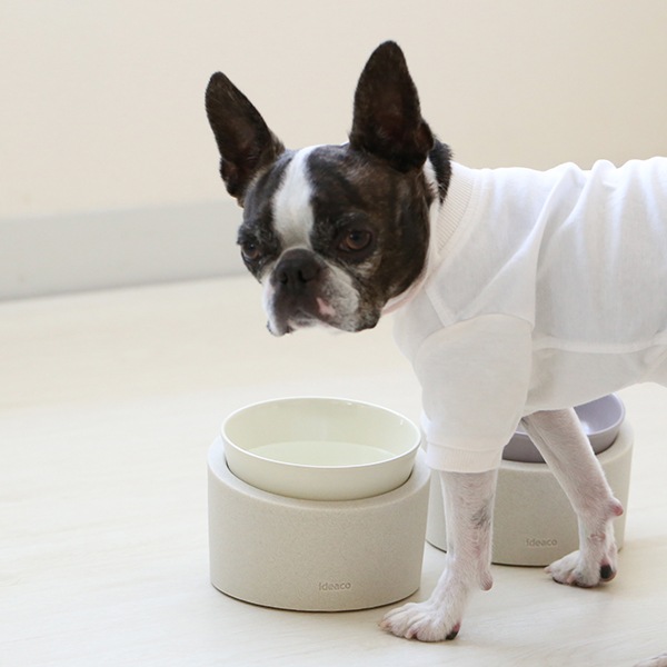 ideaco (���ǥ���) Pet Feeder ���������� Low/High ����ɥۥ磻�� ��������դ������������ܥ���