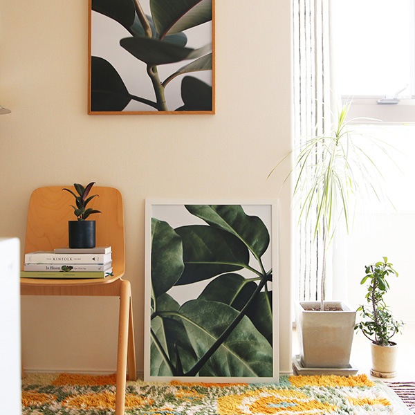 ڼȯPaper Collective (ڡѡ쥯ƥ) ݥ 5070cm Green home 01 (꡼ۡ) ̲/ƥꥢ/Ź̵