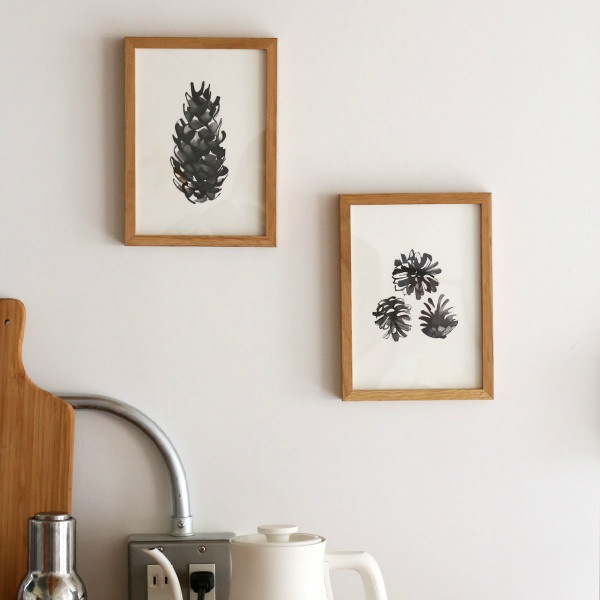 Teemu Jarvi (�ơ��ࡦ������) �ݥ����� A5 PINE CONES (���ܤä���) �̲�/����ƥꥢ/������������Ź�ʡڥ᡼���ء�