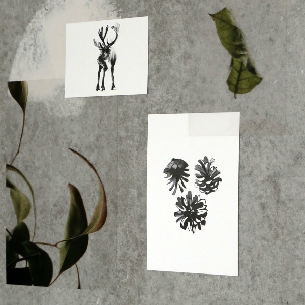 Teemu Jarvi (�ơ��ࡦ������) �ݥ����� A5 PINE CONES (���ܤä���) �̲�/����ƥꥢ/������������Ź�ʡڥ᡼���ء�