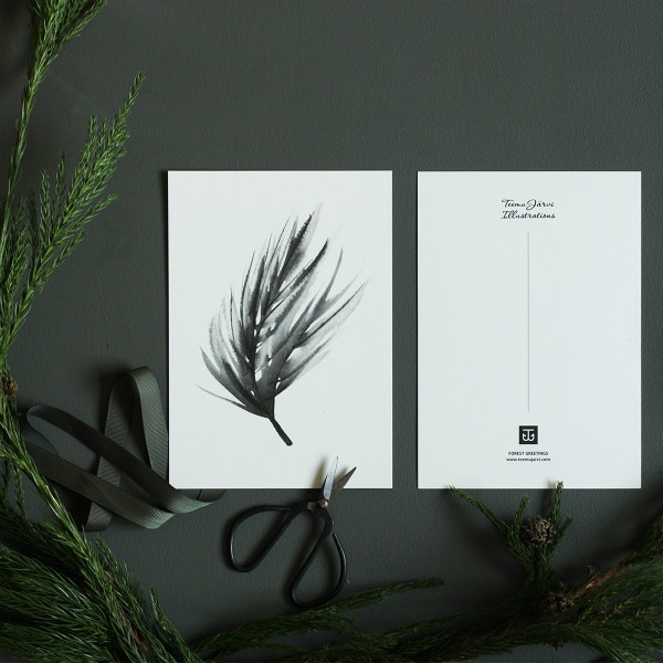 Teemu Jarvi (�ơ��ࡦ������) �ݥ����� A5 PINE CONES (���ܤä���) �̲�/����ƥꥢ/������������Ź�ʡڥ᡼���ء�