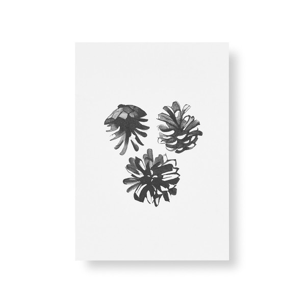 Teemu Jarvi (�ơ��ࡦ������) �ݥ����� A5 PINE CONES (���ܤä���) �̲�/����ƥꥢ/������������Ź�ʡڥ᡼���ء�