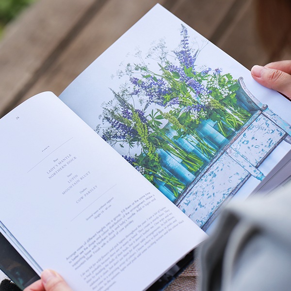 COZY PUBLISHING (ѥ֥å) Finding Flowers ̲/ե//ե