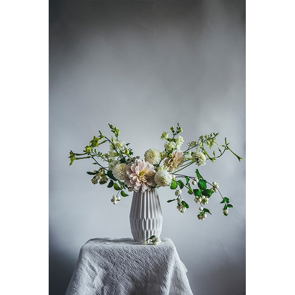 COZY PUBLISHING (ѥ֥å) Finding Flowers ̲/ե//ե