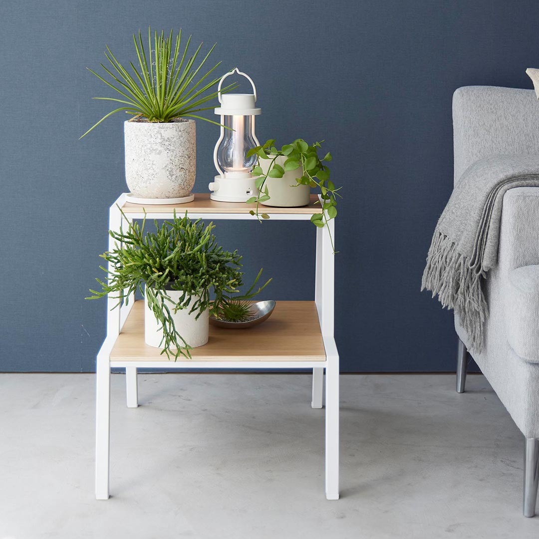 �ڤ����󤻡� ����¶� tower Ƨ����2�� �ۥ磻��/�֥�å� 1467 1468