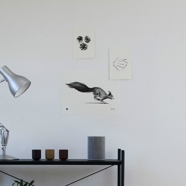 Teemu Jarvi (�ơ��ࡦ������) �ݥ����� A5 PINE NEEDLES (����) �̲�/����ƥꥢ/������������Ź�ʡڥ᡼���ء�